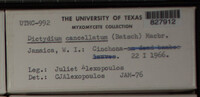 Image Associated With the Occurence